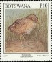 动物:非洲:博茨瓦纳:bw199718.jpg