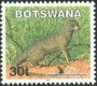 动物:非洲:博茨瓦纳:bw200208.jpg