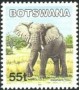 动物:非洲:博茨瓦纳:bw200210.jpg