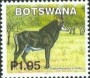 动物:非洲:博茨瓦纳:bw200214.jpg