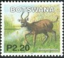 动物:非洲:博茨瓦纳:bw200215.jpg