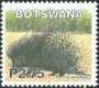 动物:非洲:博茨瓦纳:bw200216.jpg