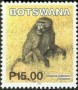 动物:非洲:博茨瓦纳:bw200220.jpg