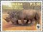 动物:非洲:博茨瓦纳:bw201103.jpg