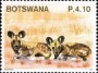 动物:非洲:博茨瓦纳:bw201106.jpg