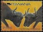 动物:非洲:博茨瓦纳:bw201507.jpg
