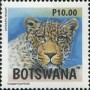动物:非洲:博茨瓦纳:bw201704.jpg
