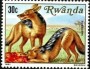 动物:非洲:卢旺达:rw198102.jpg