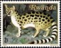 动物:非洲:卢旺达:rw198103.jpg