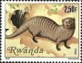 动物:非洲:卢旺达:rw198104.jpg