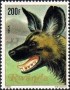 动物:非洲:卢旺达:rw198108.jpg