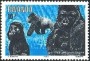 动物:非洲:卢旺达:rw198304.jpg