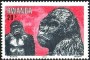动物:非洲:卢旺达:rw198305.jpg