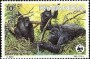 动物:非洲:卢旺达:rw198501.jpg