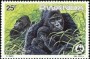 动物:非洲:卢旺达:rw198503.jpg