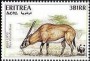 动物:非洲:厄立特里亚:er199602.jpg