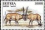 动物:非洲:厄立特里亚:er199603.jpg