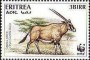 动物:非洲:厄立特里亚:er199604.jpg
