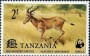 动物:非洲:坦桑尼亚:tz197703.jpg
