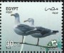 动物:非洲:埃及:eg200102.jpg