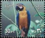 动物:非洲:埃及:eg200103.jpg