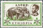动物:非洲:埃塞俄比亚:et196103.jpg