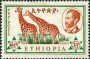 动物:非洲:埃塞俄比亚:et196104.jpg