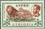 动物:非洲:埃塞俄比亚:et196106.jpg