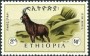 动物:非洲:埃塞俄比亚:et196610.jpg