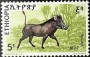 动物:非洲:埃塞俄比亚:et197501.jpg