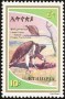 动物:非洲:埃塞俄比亚:et198001.jpg
