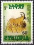 动物:非洲:埃塞俄比亚:et198903.jpg