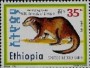 动物:非洲:埃塞俄比亚:et199302.jpg
