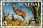 动物:非洲:塞内加尔:sn198603.jpg
