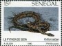 动物:非洲:塞内加尔:sn199101.jpg