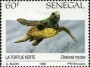 动物:非洲:塞内加尔:sn199102.jpg