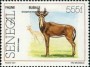 动物:非洲:塞内加尔:sn199108.jpg