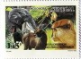 动物:非洲:塞内加尔:sn199203.jpg
