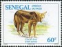动物:非洲:塞内加尔:sn199401.jpg