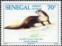 动物:非洲:塞内加尔:sn199402.jpg