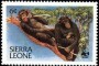 动物:非洲:塞拉利昂:sl198301.jpg