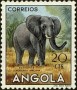 动物:非洲:安哥拉:ao195303.jpg