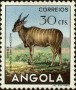动物:非洲:安哥拉:ao195304.jpg