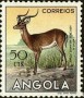 动物:非洲:安哥拉:ao195306.jpg
