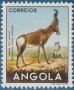 动物:非洲:安哥拉:ao195315.jpg