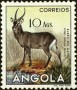 动物:非洲:安哥拉:ao195317.jpg