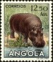 动物:非洲:安哥拉:ao195318.jpg