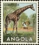 动物:非洲:安哥拉:ao195320.jpg