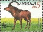 动物:非洲:安哥拉:ao199004.jpg