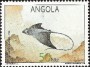 动物:非洲:安哥拉:ao199202.jpg